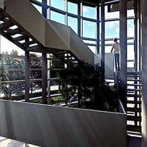 Nuovo Vallisneri rendering 1