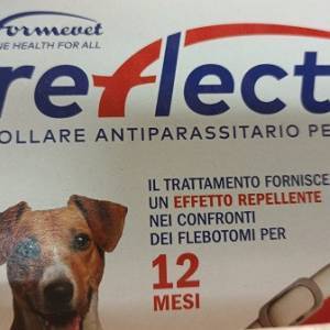 7c5c351b-3d44-4850-b504-a533d52ca8ac