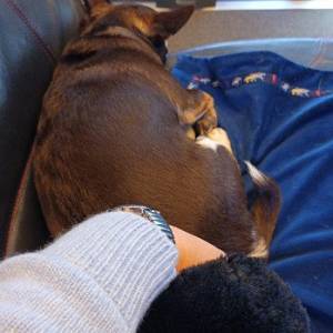 96a5d88a-5910-4156-ae96-86b3805a4163