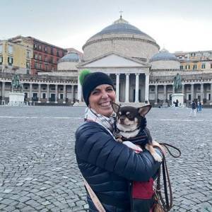 e65b4486-23e7-4d79-9fc2-f80f703d3759