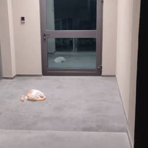 WhatsApp Image 2024-03-29 at 22.08.34 (2)