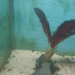 02f51cfd-374d-4369-a43c-8de798456208