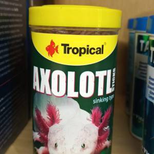 6f082ca6-2087-4e56-b8e5-f1c78a89edc6