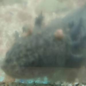 6f701f74-03b4-4d34-9f8d-5ac1de12a4e9