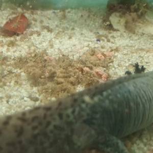 b243f255-24b8-409b-af74-4de3106ef22d