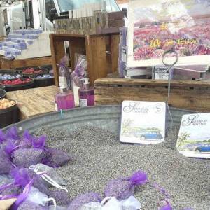 59790416_1247225955435309_5311245618675449856_n