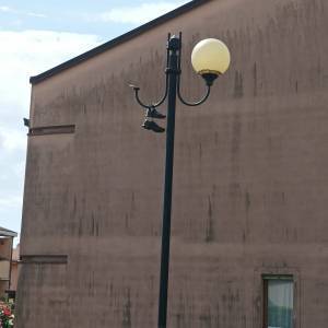 371c99ff-01ec-4941-9c19-b68d27898210