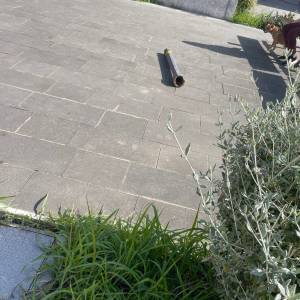 42f5694e-7cad-4016-bc26-4f012f09cfe9