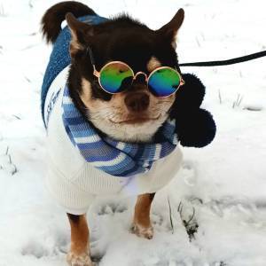 7c339c13-1cb7-4911-b93e-e30b87ba8d1d