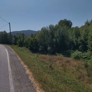 c38e59ab-8605-4a95-81fb-0ea64f3ec15d