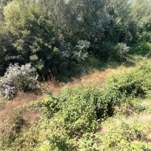 dcac992a-75f5-44b7-8ff2-5e94026a3e3e