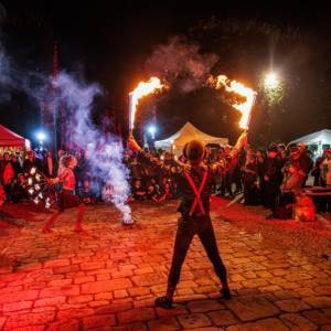 Carnival-85-2-768x512