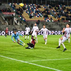 19cca203-03da-4b5e-a2d2-c06047404651