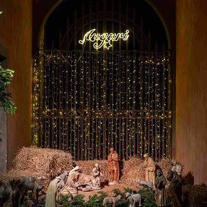 Magico Natale_Villa Reale di Marlia_Foto di Giuseppe Panico (38)