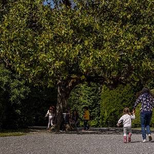 Pasquetta_Villa Reale di Marlia_Foto di Giuseppe Panico (24)