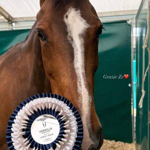 WhatsApp Image 2025-05-11 at 13.52.07 (1)