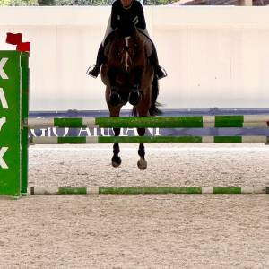 WhatsApp Image 2025-05-11 at 13.52.49