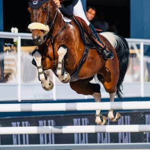 407f4739-ef36-429f-b699-599d816d24bb