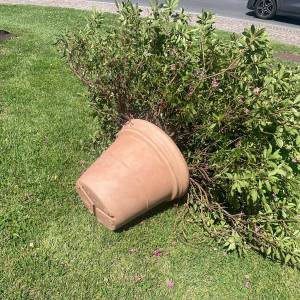 0625d053-817d-443d-ab13-807838f381b5