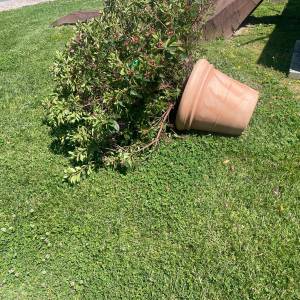 6ea1feb9-3fc9-44b8-90ef-9ad2a93cf563