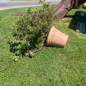 eceb521e-9d89-416f-b6ab-cbab115977a1