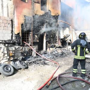 56938a9a-4bd7-4b03-af73-f7aa4d546954