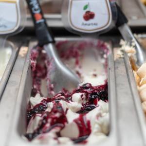 090cba2c-1174-4eab-80ee-b86e13134f17