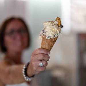 1d80dc15-287b-4b45-b2d8-8487b1909422