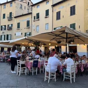 023f2a68-14b7-4f88-a248-5e9b8ae535df