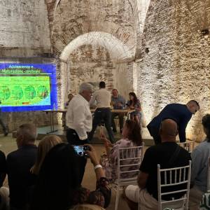 a9d5b386-e960-4851-be47-e3c4d9642f9c