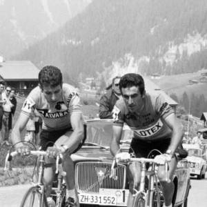 11. Gimondi e Bitossi