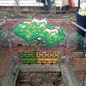 IMG20251101121248_copy_1346x1013