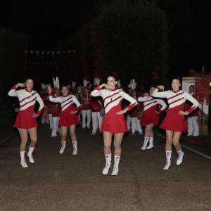 ace477c1-104d-4bfa-a333-fb50b5a6f39e