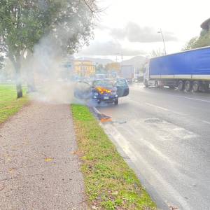 10068bc8-86d2-4864-a5ed-ec22724bc6c6