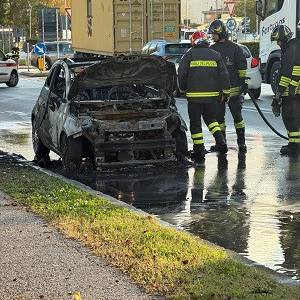 ad03a8ba-910d-4694-800d-d69aae8d5896