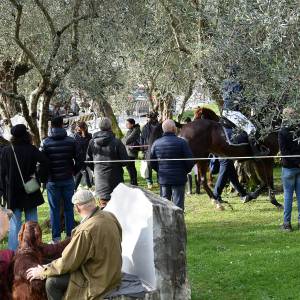 EMA_6941 Bened animali