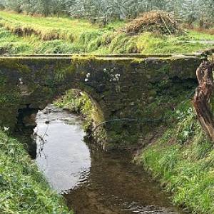 Ponte Rio Nocella (2)