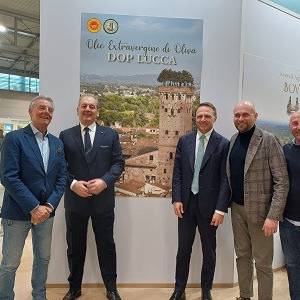 gruppo-olio-Consorzio- Tutela-Olio DOP-Lucca-lollobrigida