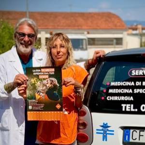 237edaef-b5ec-4820-80c6-3fbb597f71e2