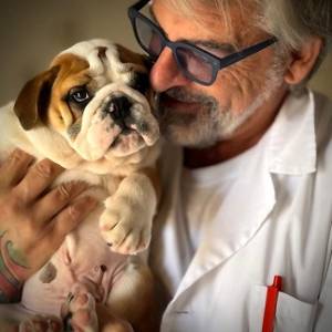 5b7af37d-6e68-4451-9548-4826e589d0b5