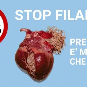 8362f3bc-791c-40ff-b3ea-5025bac47548