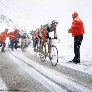 PIC_33