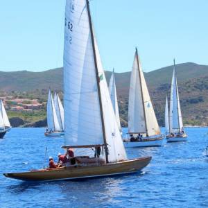 Flotta VSV Capraia 2026_Foto Maccione