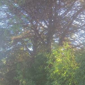 IMG-20260831-WA0033