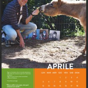 Calendario LAV 2027 aprile Bigo